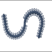 Separating Elastics.png